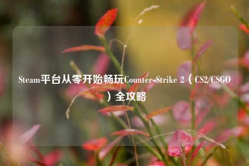Steam平台从零开始畅玩Counter-Strike 2(CS2/CSGO)全攻略
