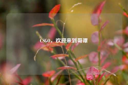 CSGO，欢迎来到哥谭