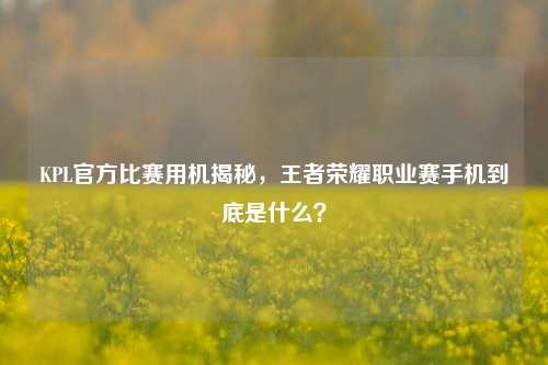 KPL官方比赛用机揭秘，王者荣耀职业赛手机到底是什么？