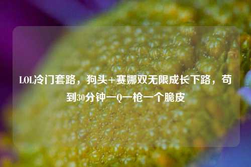 LOL冷门套路，狗头+赛娜双无限成长下路，苟到30分钟一Q一枪一个脆皮