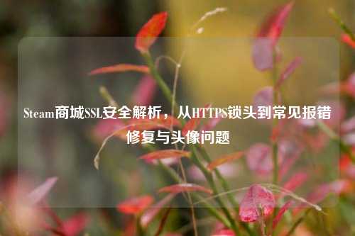 Steam商城SSL安全解析，从HTTPS锁头到常见报错修复与头像问题