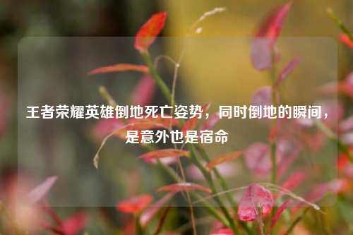 王者荣耀英雄倒地死亡姿势，同时倒地的瞬间，是意外也是宿命