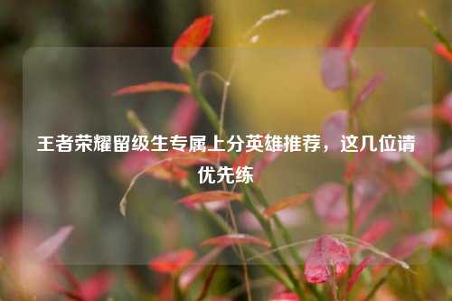 王者荣耀留级生专属上分英雄推荐,这几位请优先练