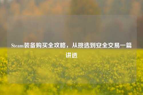 Steam装备购买全攻略,从挑选到安全交易一篇讲透