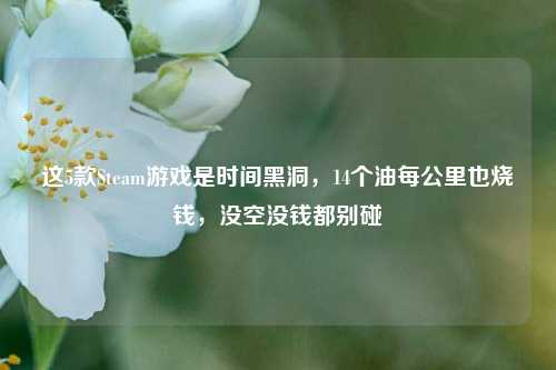 这5款Steam游戏是时间黑洞，14个油每公里也烧钱，没空没钱都别碰