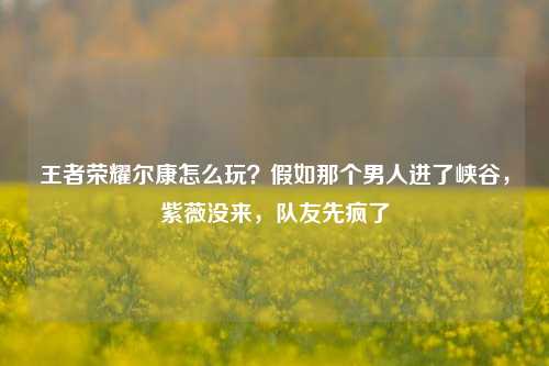 王者荣耀尔康怎么玩?假如那个男人进了峡谷,紫薇没来,队友先疯了