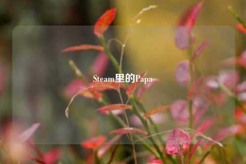 Steam里的Papa
