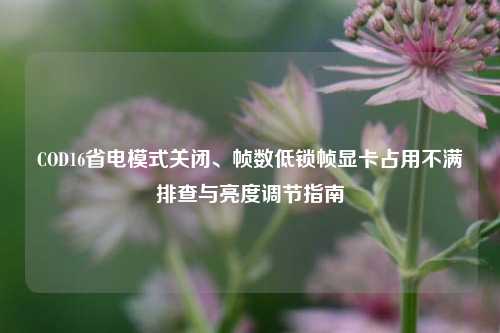 COD16省电模式关闭、帧数低锁帧显卡占用不满排查与亮度调节指南