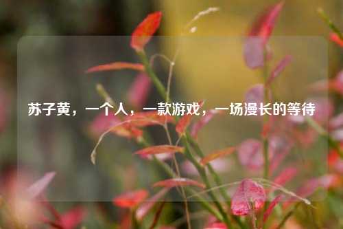 苏子黄,一个人,一款游戏,一场漫长的等待