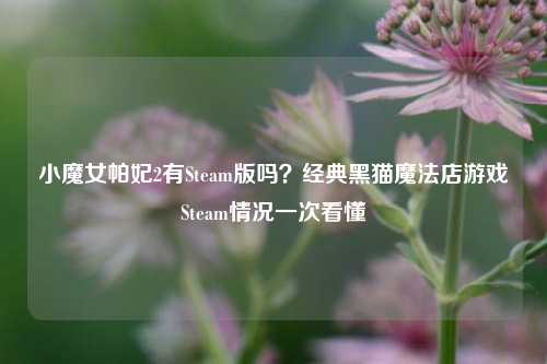 小魔女帕妃2有Steam版吗?经典黑猫魔法店游戏Steam情况一次看懂