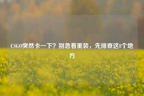 CSGO突然卡一下?别急着重装,先排查这8个地方