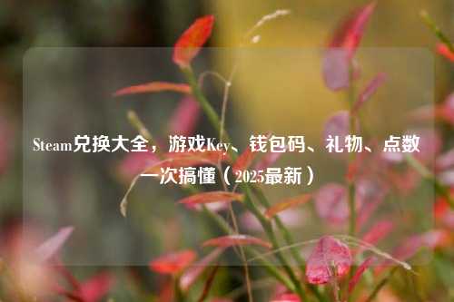 Steam兑换大全,游戏Key、钱包码、礼物、点数一次搞懂(2025最新)