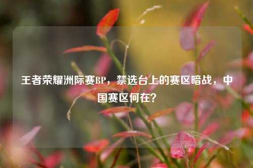 王者荣耀洲际赛BP,禁选台上的赛区暗战,中国赛区何在?