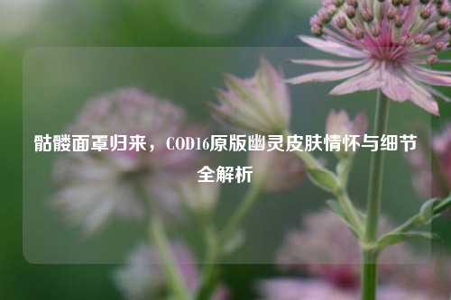 骷髅面罩归来，COD16原版幽灵皮肤情怀与细节全解析