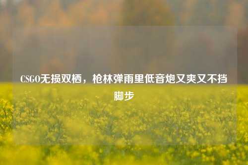 CSGO无损双栖,枪林弹雨里低音炮又爽又不挡脚步