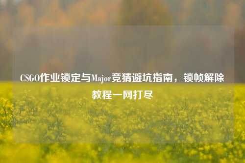 CSGO作业锁定与Major竞猜避坑指南,锁帧解除教程一网打尽