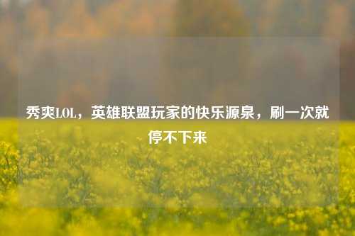 秀爽LOL，英雄联盟玩家的快乐源泉，刷一次就停不下来