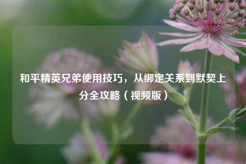 和平精英兄弟使用技巧,从绑定关系到默契上分全攻略(视频版)