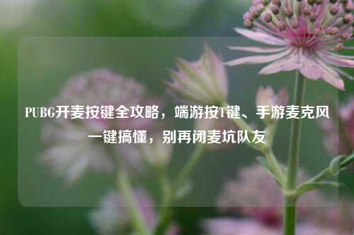 PUBG开麦按键全攻略,端游按T键、手游麦克风一键搞懂,别再闭麦坑队友