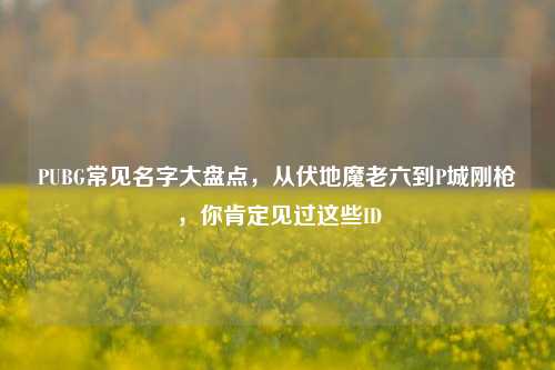PUBG常见名字大盘点,从伏地魔老六到P城刚枪,你肯定见过这些ID