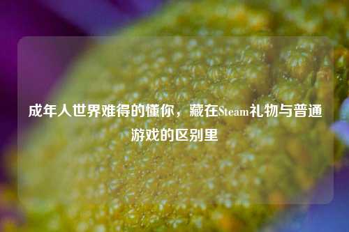 成年人世界难得的懂你，藏在Steam礼物与普通游戏的区别里