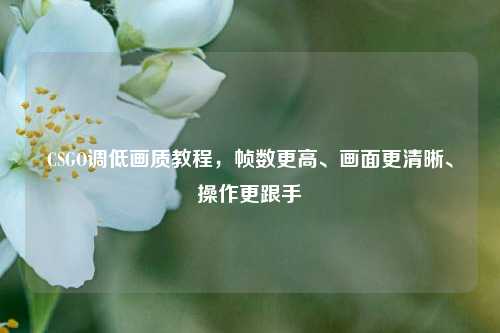 CSGO调低画质教程,帧数更高、画面更清晰、操作更跟手
