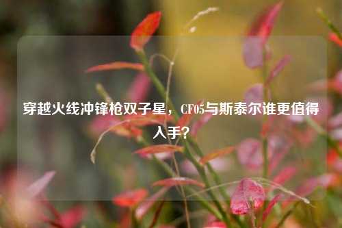 穿越火线冲锋枪双子星,CF05与斯泰尔谁更值得入手?