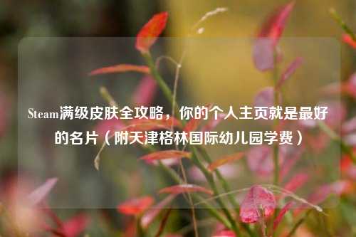 Steam满级皮肤全攻略，你的个人主页就是最好的名片（附天津格林国际幼儿园学费）