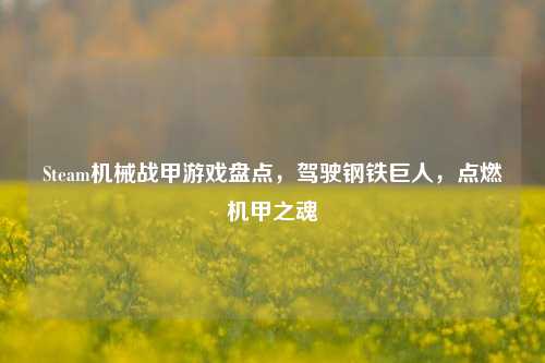 Steam机械战甲游戏盘点，驾驶钢铁巨人，点燃机甲之魂