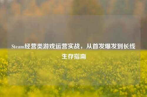 Steam经营类游戏运营实战,从首发爆发到长线生存指南