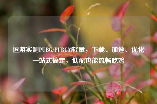 逗游实测PUBG/PUBGM轻量,下载、加速、优化一站式搞定,低配也能流畅吃鸡
