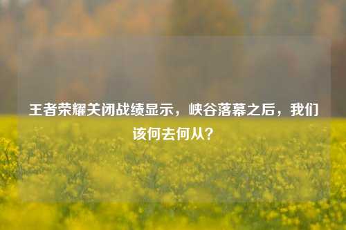 王者荣耀关闭战绩显示，峡谷落幕之后，我们该何去何从？