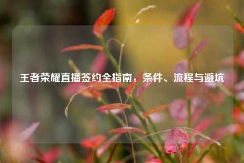王者荣耀直播签约全指南,条件、流程与避坑