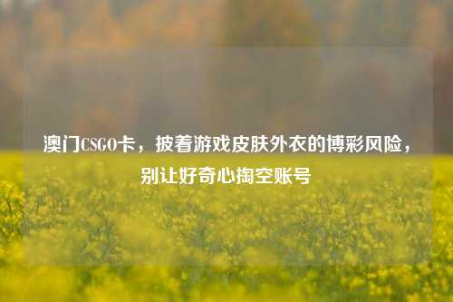 澳门CSGO卡,披着游戏皮肤外衣的博彩风险,别让好奇心掏空账号