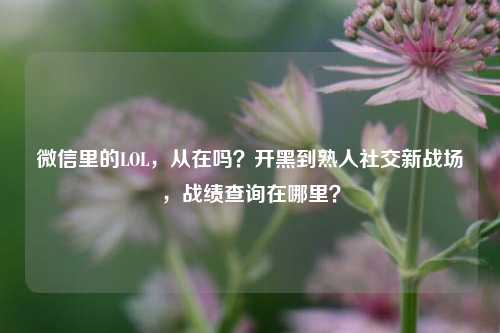 微信里的LOL,从在吗?开黑到熟人社交新战场,战绩查询在哪里?