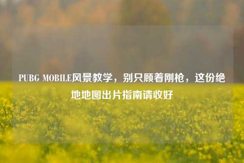 PUBG MOBILE风景教学,别只顾着刚枪,这份绝地地图出片指南请收好