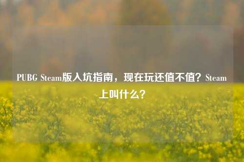 PUBG Steam版入坑指南,现在玩还值不值?Steam上叫什么?