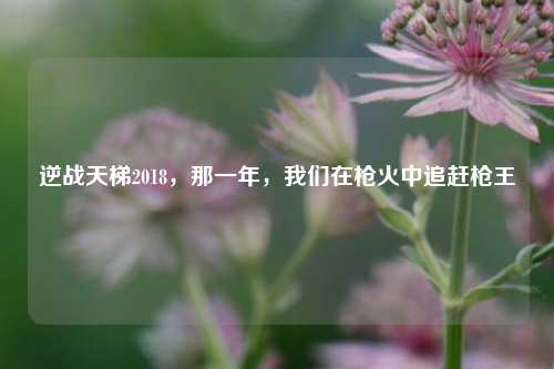 逆战天梯2018,那一年,我们在枪火中追赶枪王