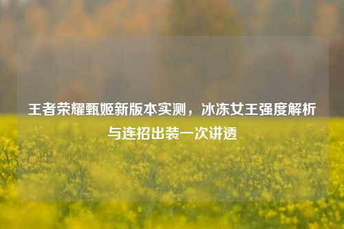 王者荣耀甄姬新版本实测,冰冻女王强度解析与连招出装一次讲透