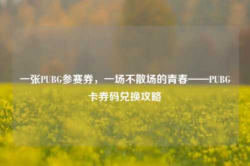 一张PUBG参赛券,一场不散场的青春——PUBG卡券码兑换攻略