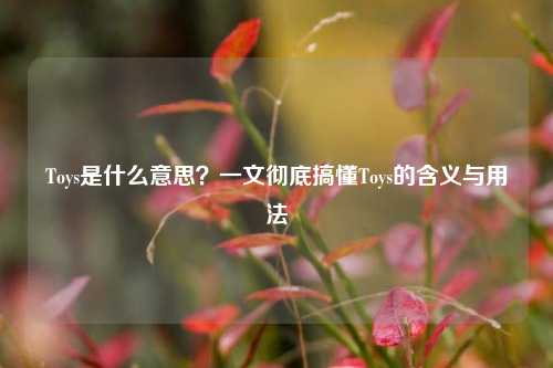 Toys是什么意思？一文彻底搞懂Toys的含义与用法