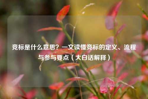 竞标是什么意思？一文读懂竞标的定义、流程与参与要点（大白话解释）