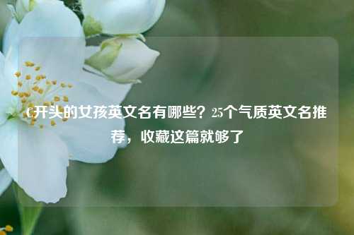 C开头的女孩英文名有哪些?25个气质英文名推荐,收藏这篇就够了
