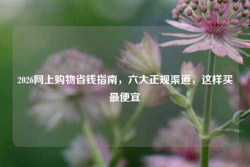 2026网上购物省钱指南，六大正规渠道，这样买最便宜