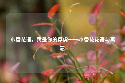 木香花语，我是你的俘虏——木香花花语与寓意