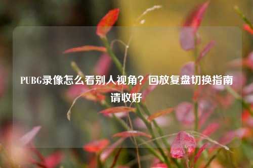 PUBG录像怎么看别人视角？回放复盘切换指南请收好