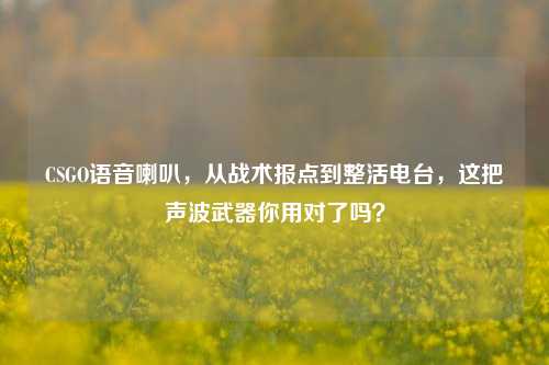 CSGO语音喇叭,从战术报点到整活电台,这把声波武器你用对了吗?