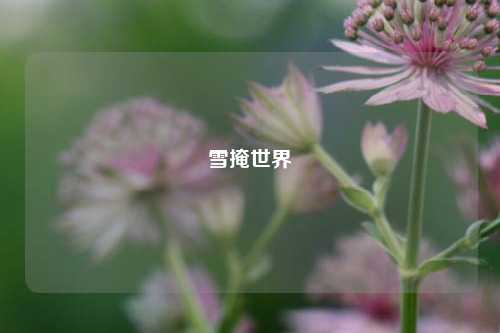 雪掩世界