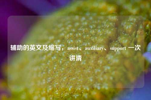辅助的英文及缩写，assist、auxiliary、support 一次讲清