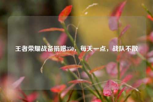 王者荣耀战备捐赠350，每天一点，战队不散